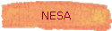 NESA