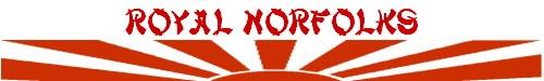 Royal Norfolks